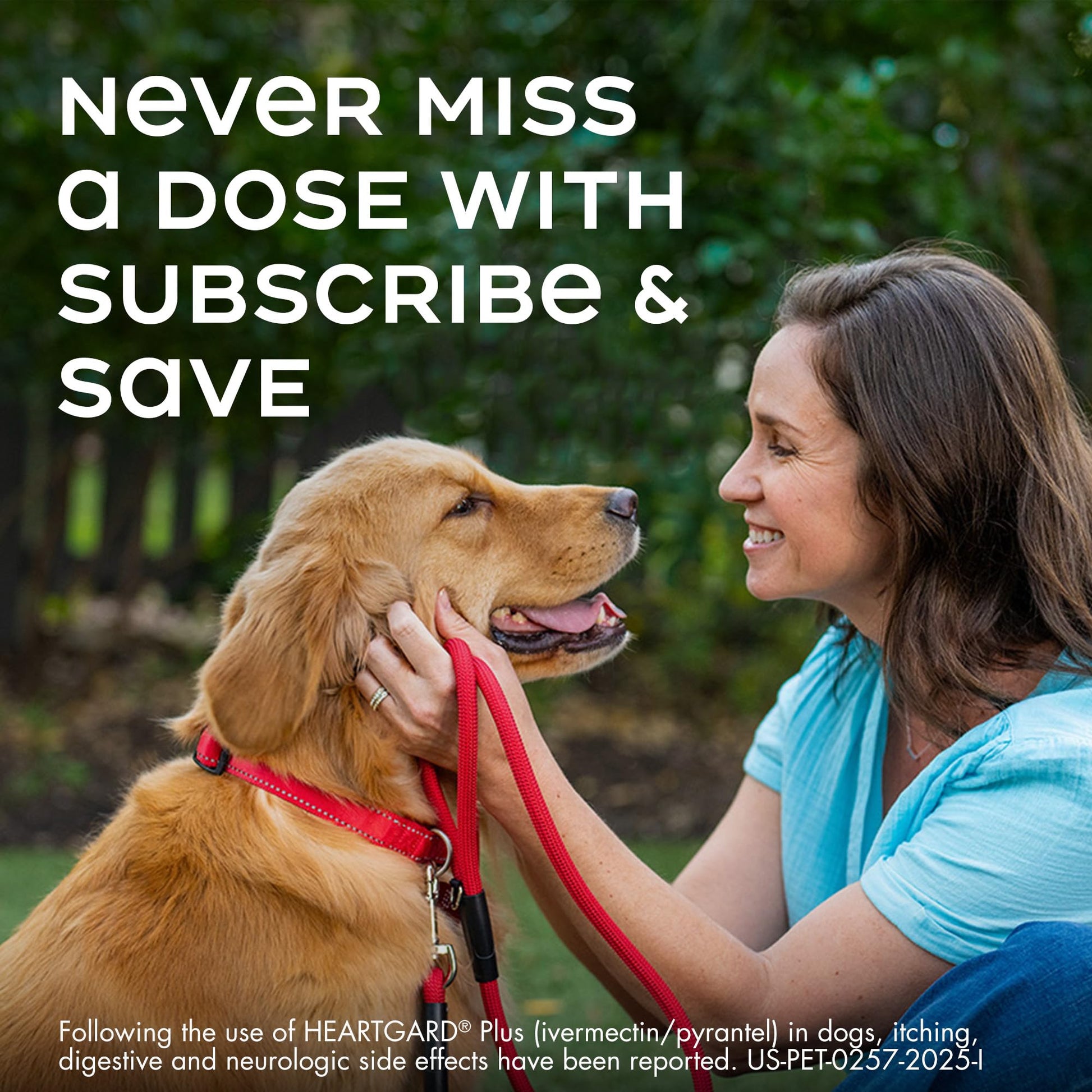 HEARTGARD® Plus (ivermectin/pyrantel) Real-Beef Chewables The Dachshund Zone