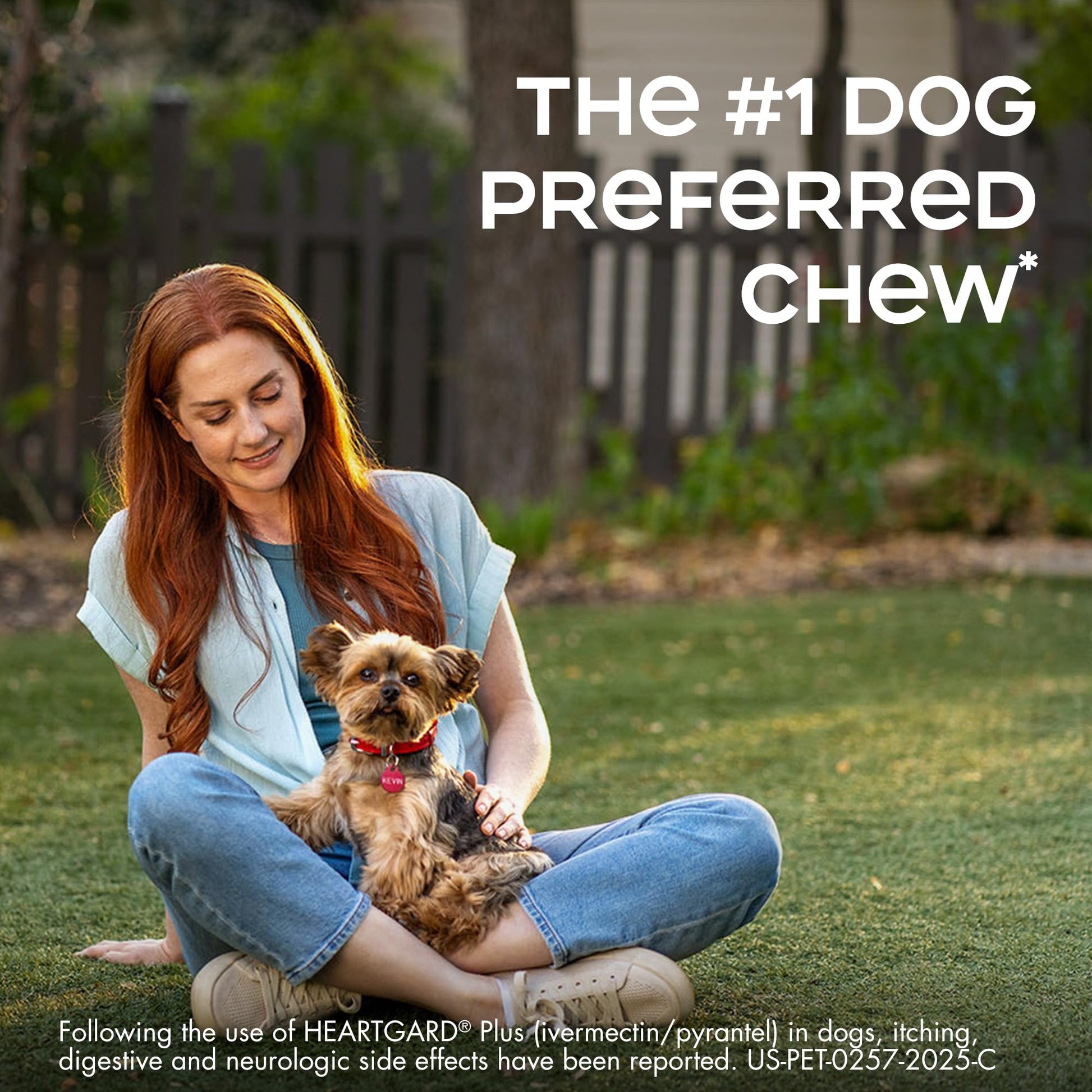 HEARTGARD® Plus (ivermectin/pyrantel) Real-Beef Chewables The Dachshund Zone