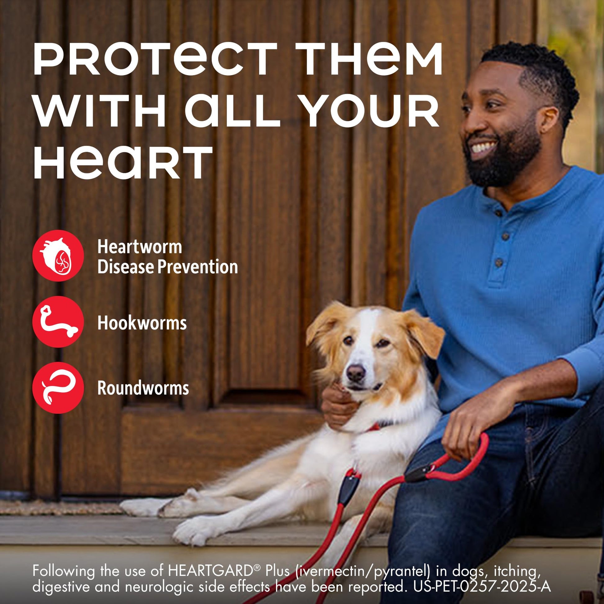 HEARTGARD® Plus (ivermectin/pyrantel) Real-Beef Chewables The Dachshund Zone
