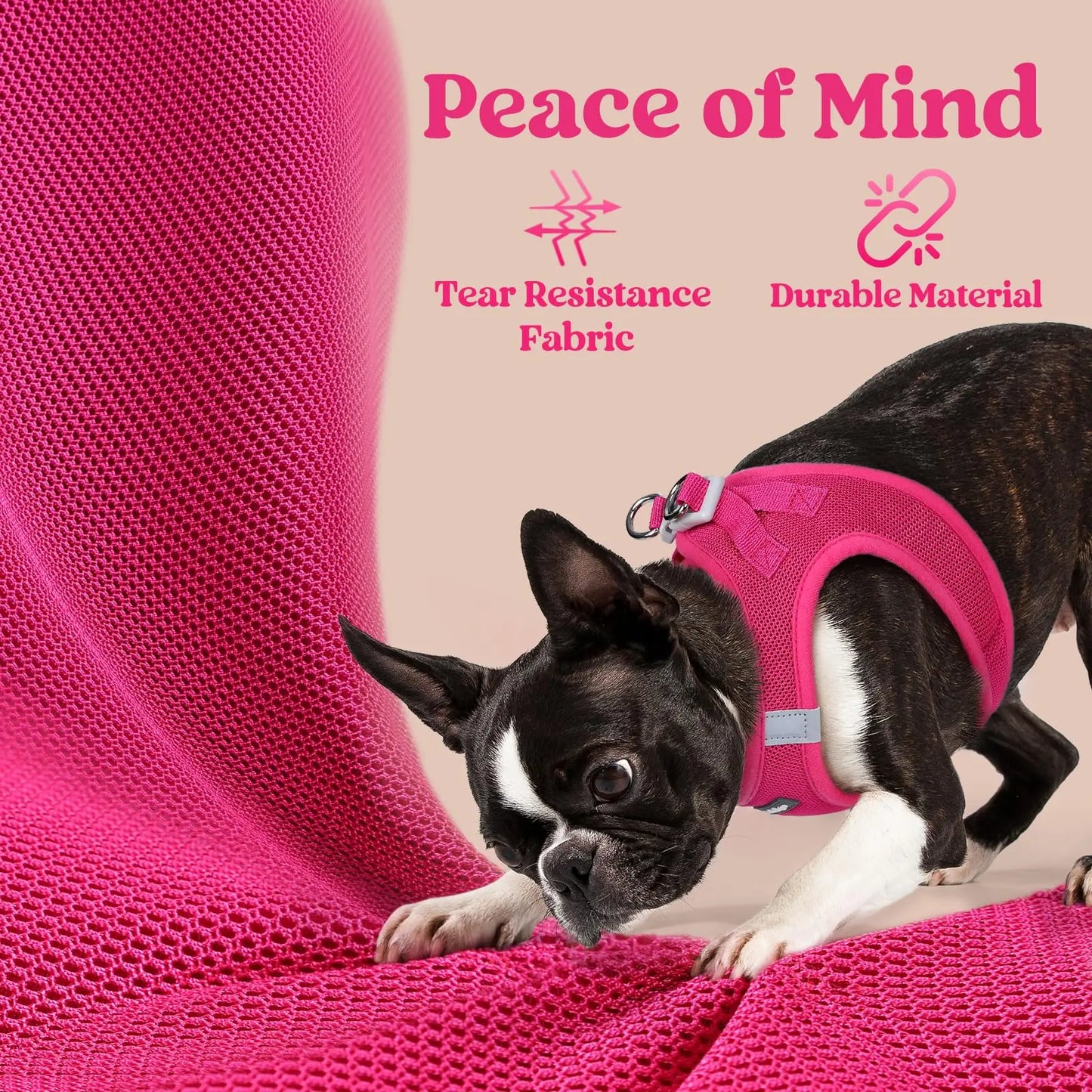 Small Dog Harness, Step-in Soft Mesh Puppy Vest with Safety Buckle, The Dachshund Zone