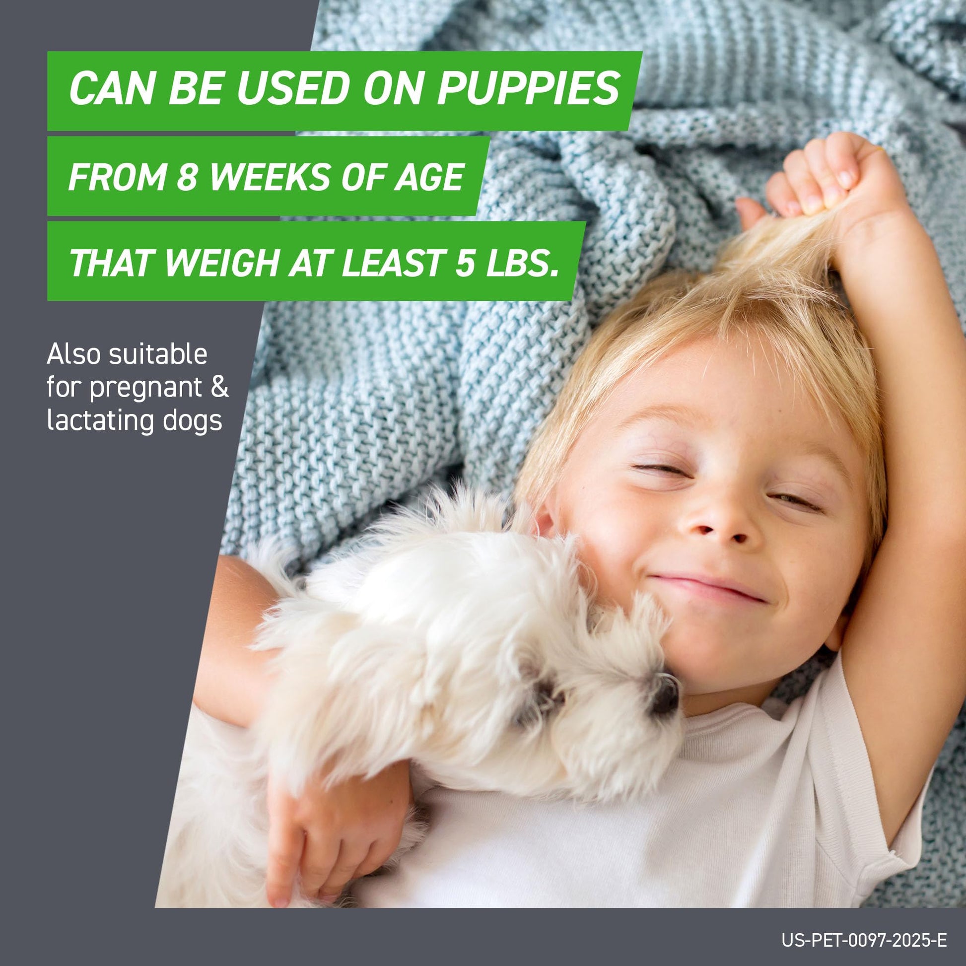 FRONTLINE Plus Flea and Tick Treatment for Small Dogs The Dachshund Zone