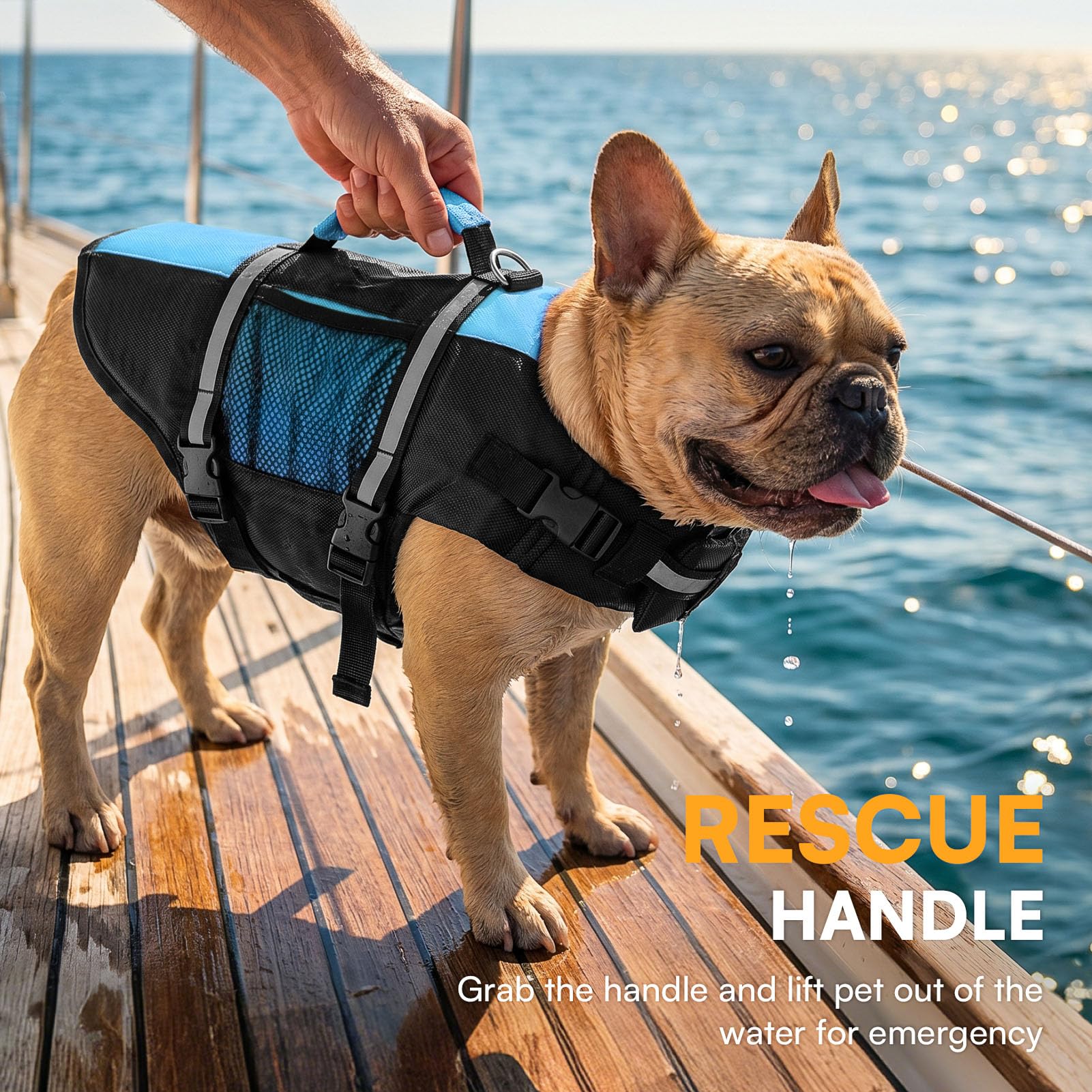 Queenmore Small Dog Life Jacket, Adjustable Pet Life Vest for Small Dogs with High Buoyancy, Rescue Handle, Reflective Bands for Boating, Canoeing, Swimming The Dachshund Zone