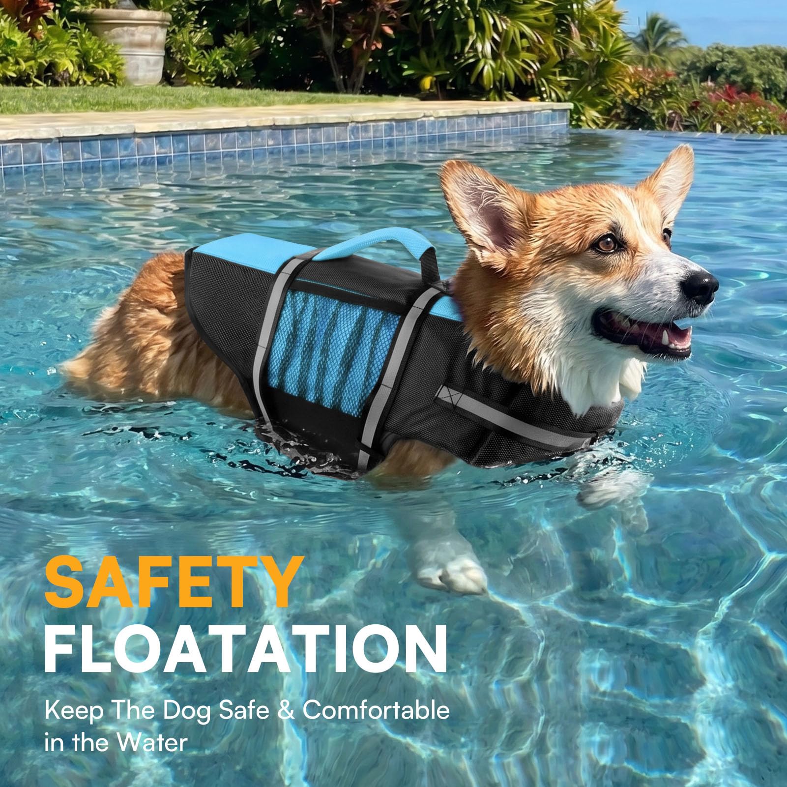 Queenmore Small Dog Life Jacket, Adjustable Pet Life Vest for Small Dogs with High Buoyancy, Rescue Handle, Reflective Bands for Boating, Canoeing, Swimming The Dachshund Zone