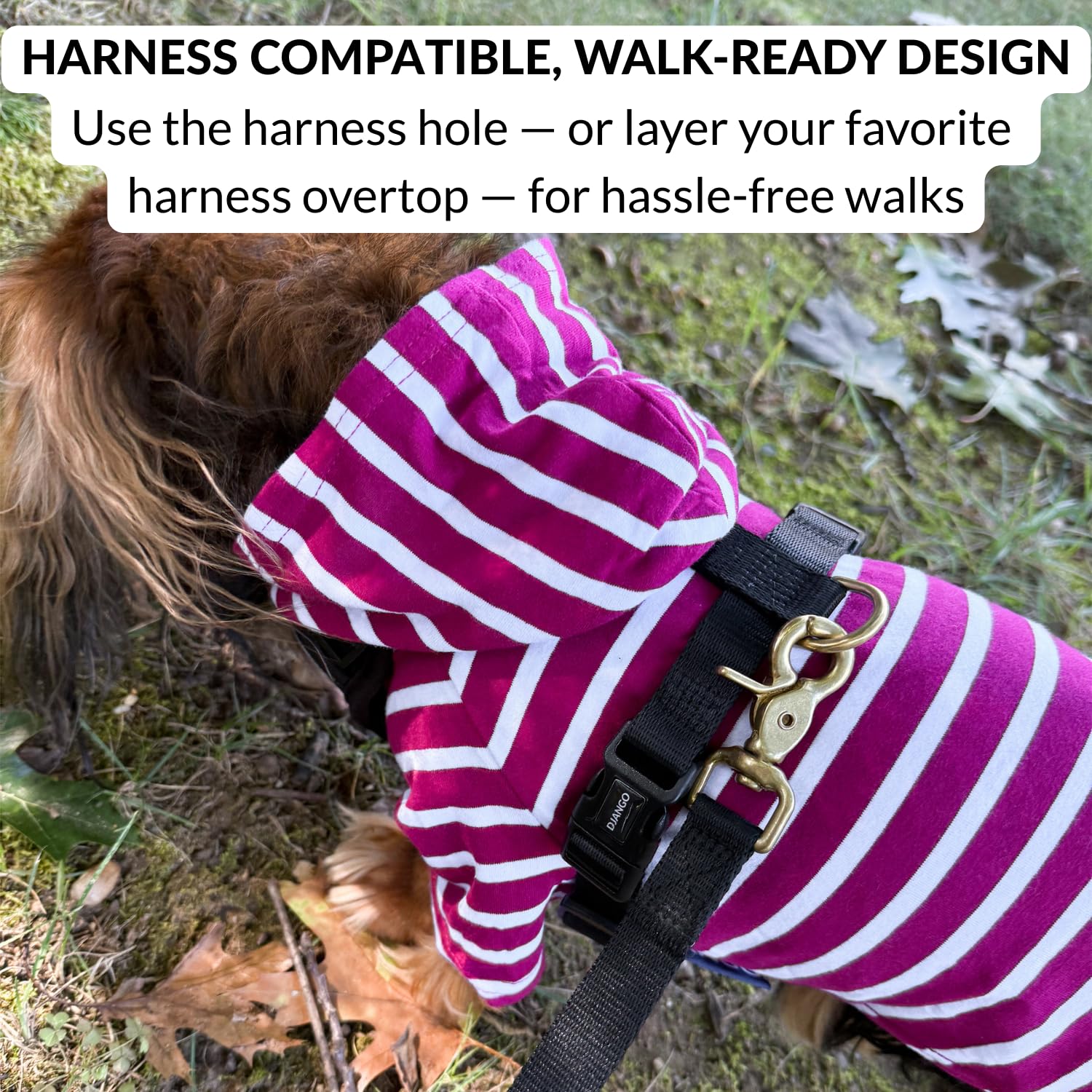 Dog Hoodie – Warm, Lightweight, Soft & Stretchy Dog Sweater The Dachshund Zone