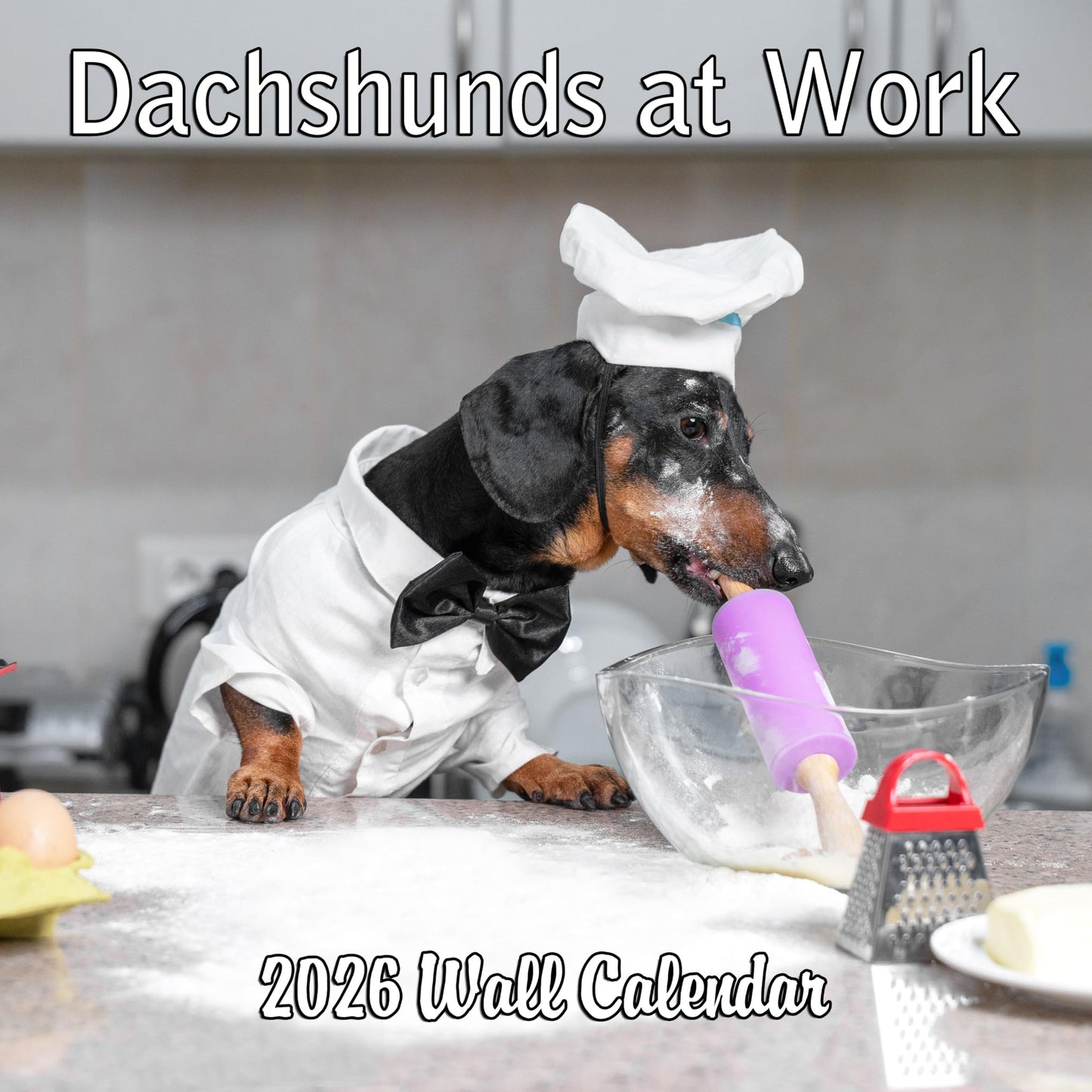 2026 Dachshunds at Work Monthly Wall Calendar The Dachshund Zone