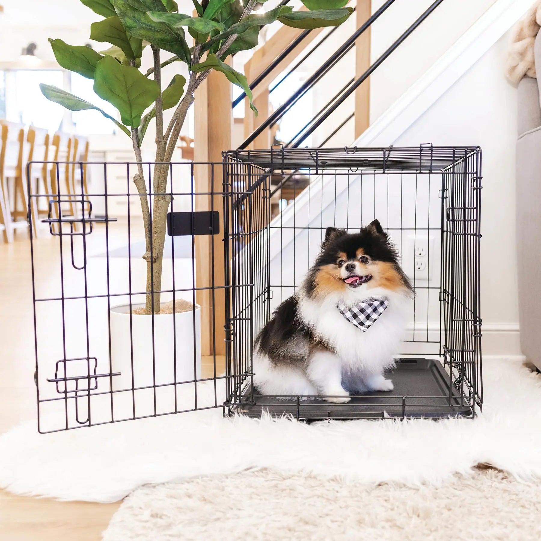 Carlson SECURE AND FOLDABLE Metal Dog Crate, Small, 24.0"L x 18.0"W x 19.0"H The Dachshund Zone