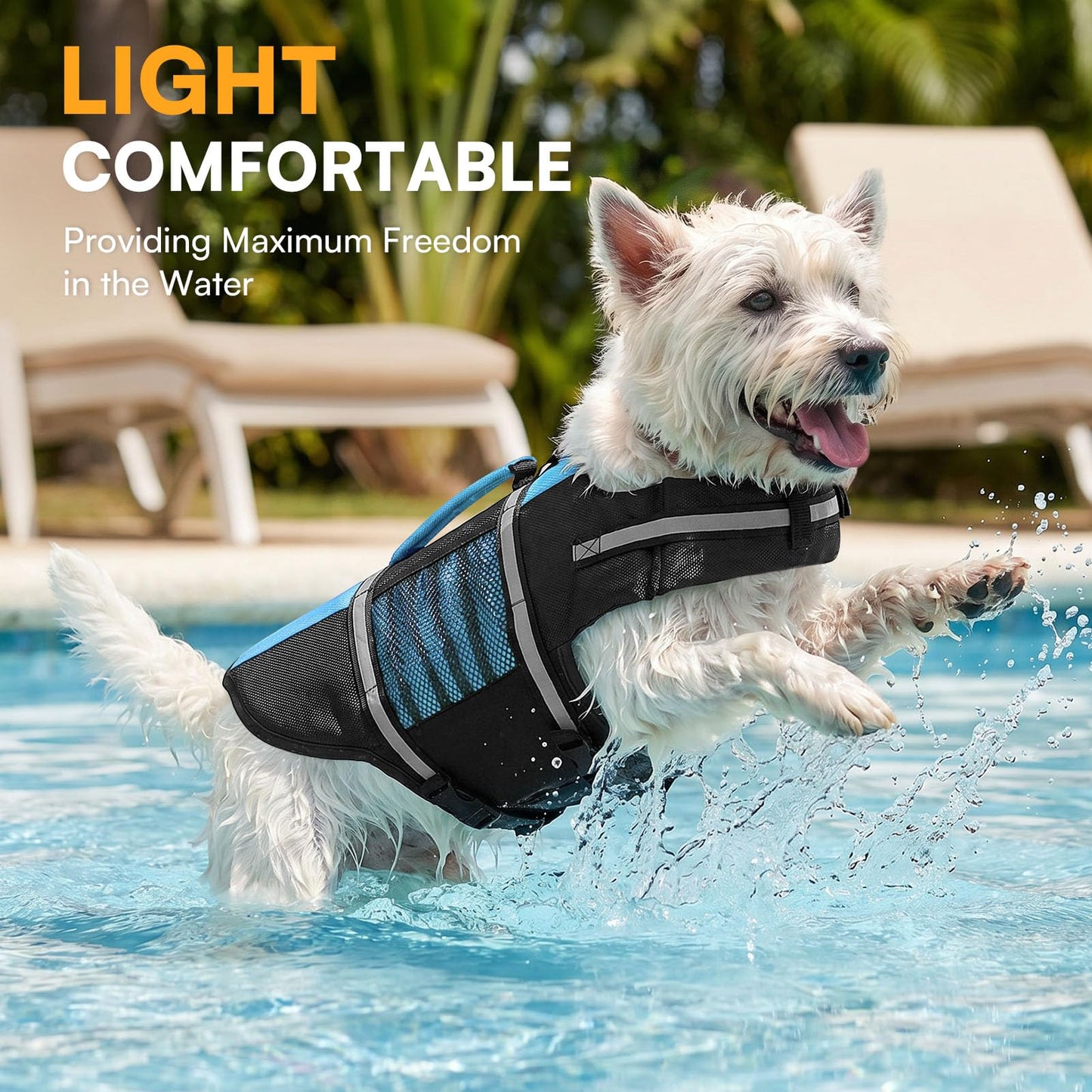 Queenmore Small Dog Life Jacket, Adjustable Pet Life Vest for Small and Medium Dogs with High Buoyancy, Rescue Handle, Reflective Bands for Boating, Canoeing, Swimming The Dachshund Zone