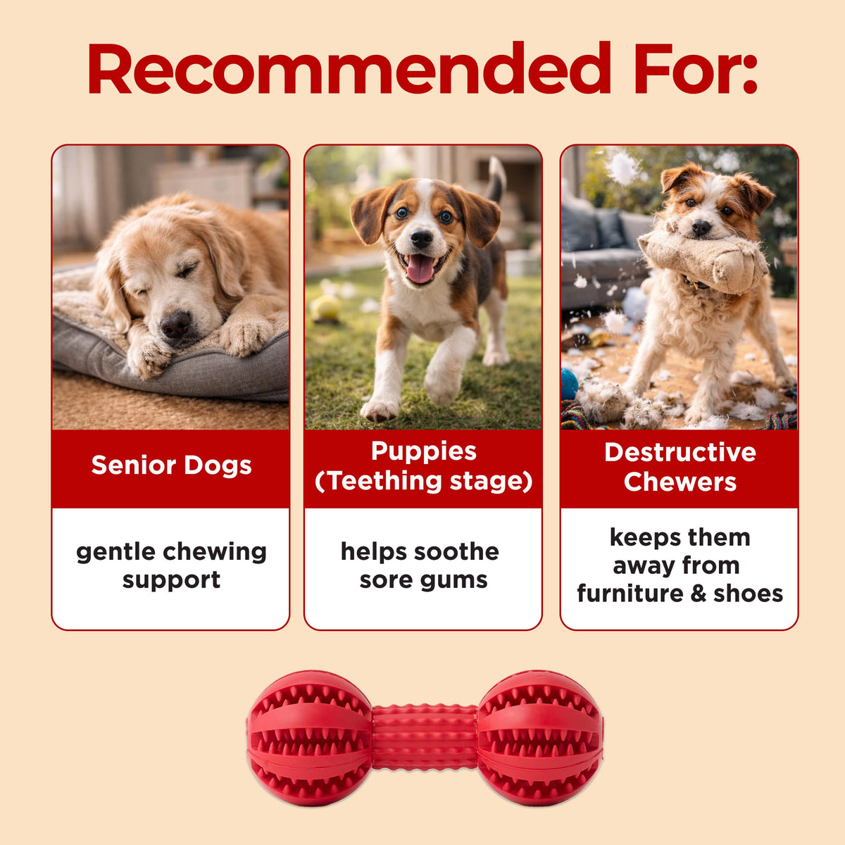 JAYU PET Toothbrush Toy Dog Chew Toy for Aggressive Chewers, Durable Dental Toy for Small & Medium Dogs, Teeth Cleaning Toy to Keep Them Busy, Remove Plaque & Tartar The Dachshund Zone