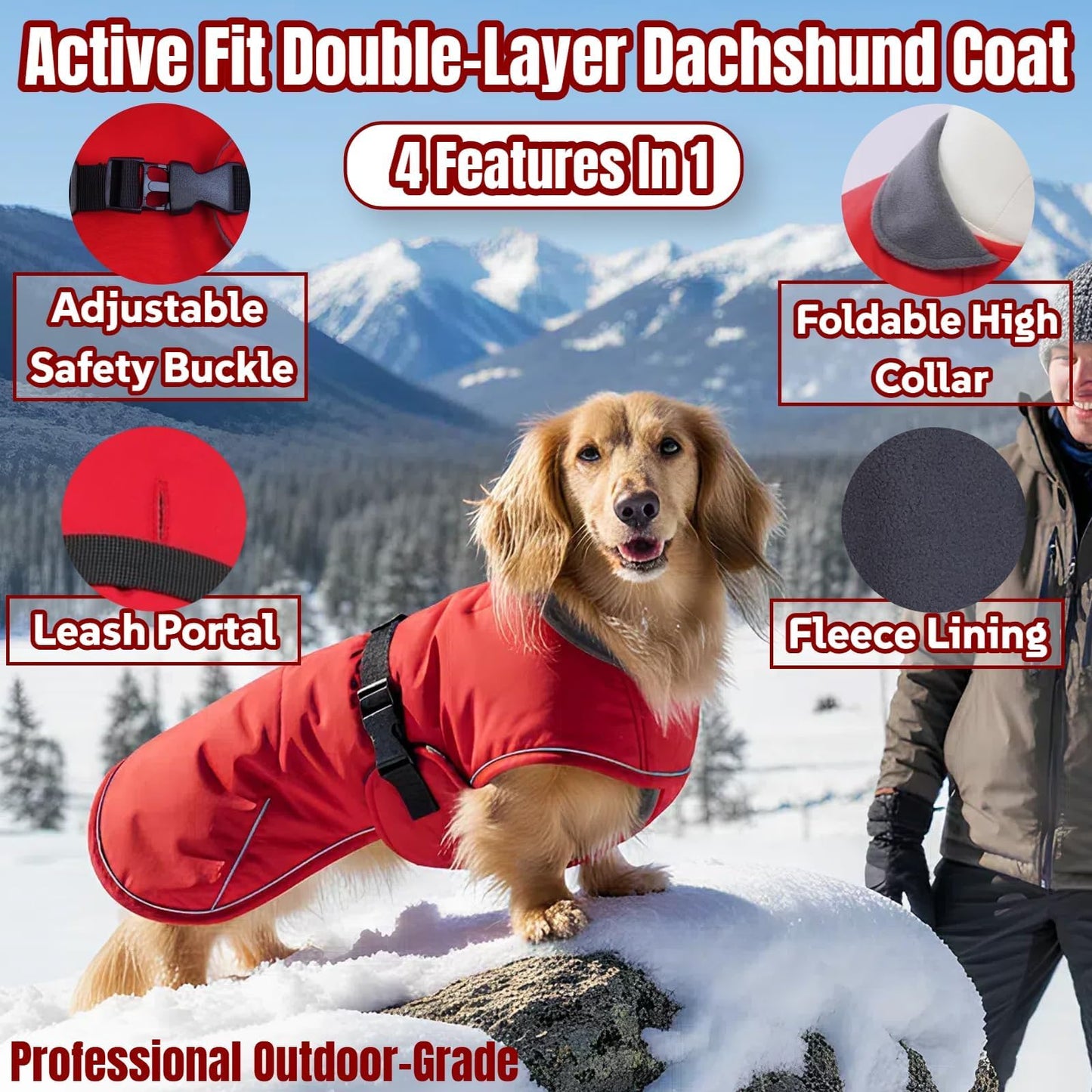 Dachshund Jackets with Adjustable Bands The Dachshund Zone