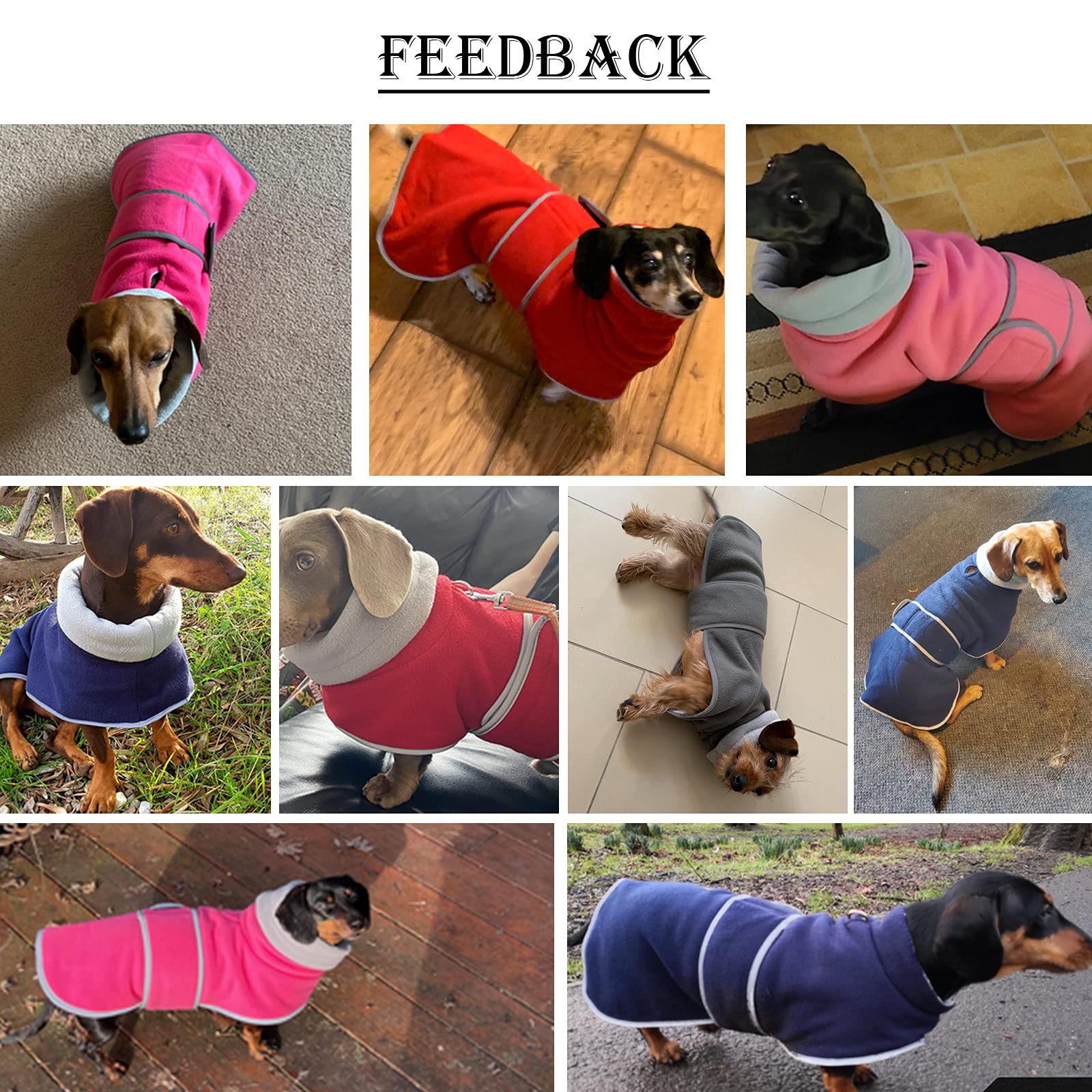 Dachshund Coats Sausage Dog Fleece Coat in Winter- Reflective Trim Safety The Dachshund Zone