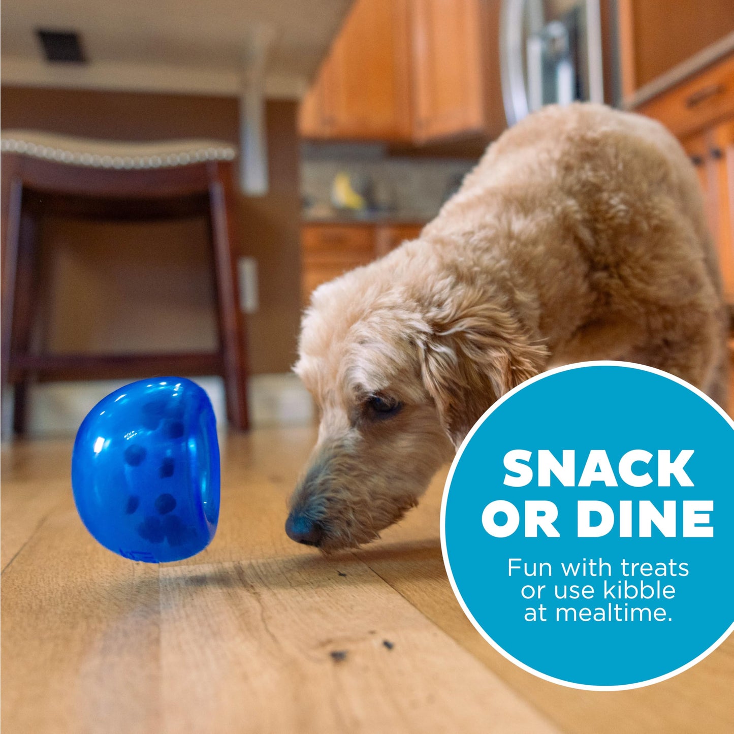 Outward Hound Lil' Snoop Interactive Treat Dispensing Toy The Dachshund Zone