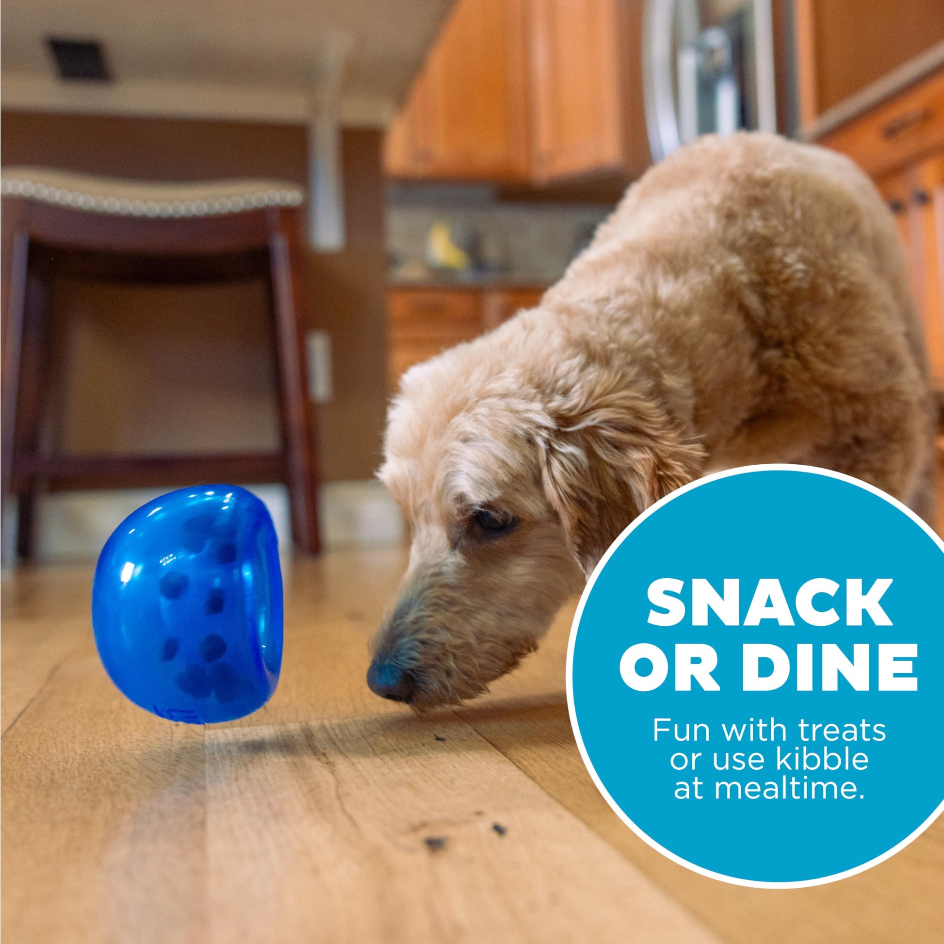 Outward Hound Lil' Snoop Interactive Treat Dispensing Toy The Dachshund Zone