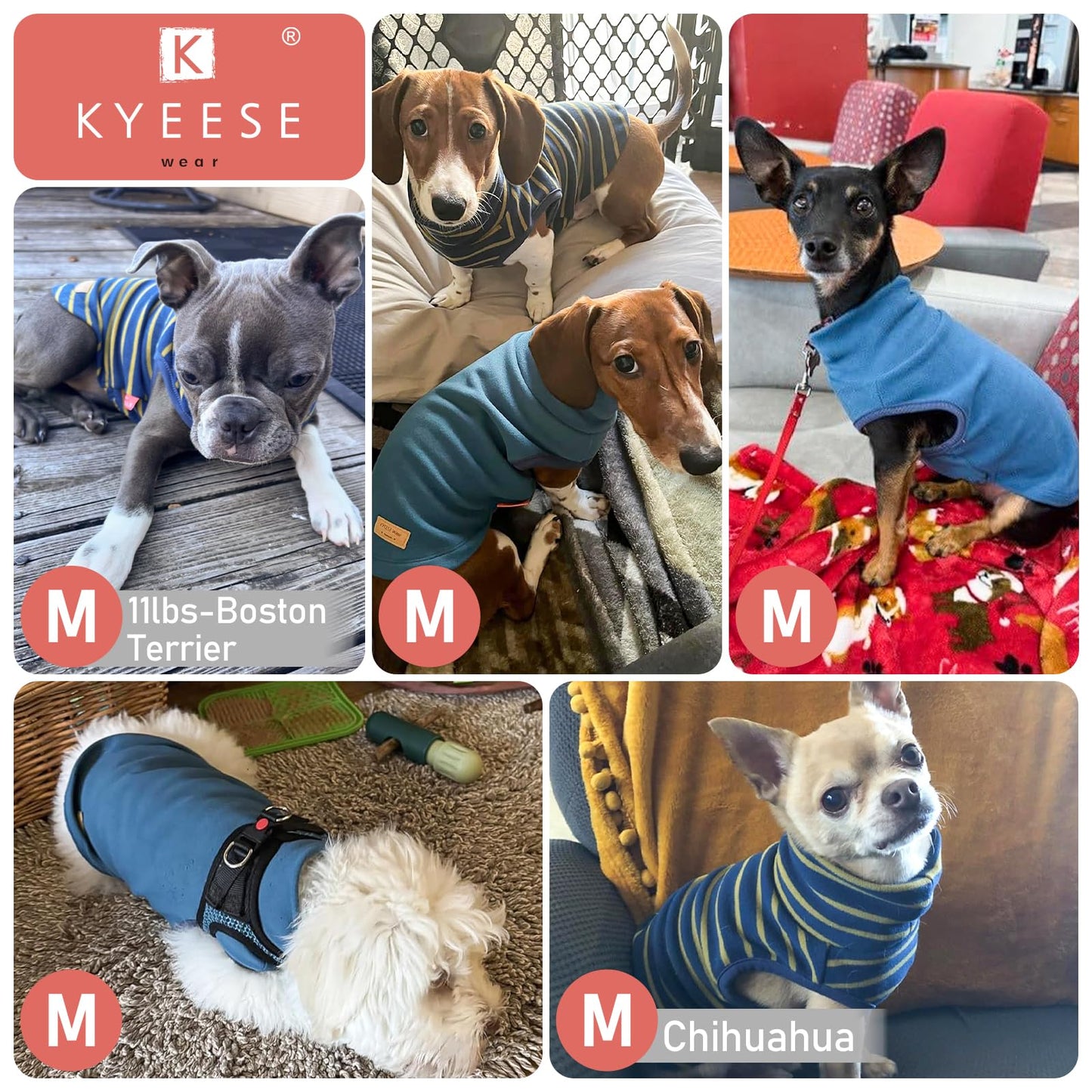 KYEESE 2Pack Dog Sweater Pullover Pet Sweatshirt Stretchy Dogs Clothes Soft Dachshund The Dachshund Zone