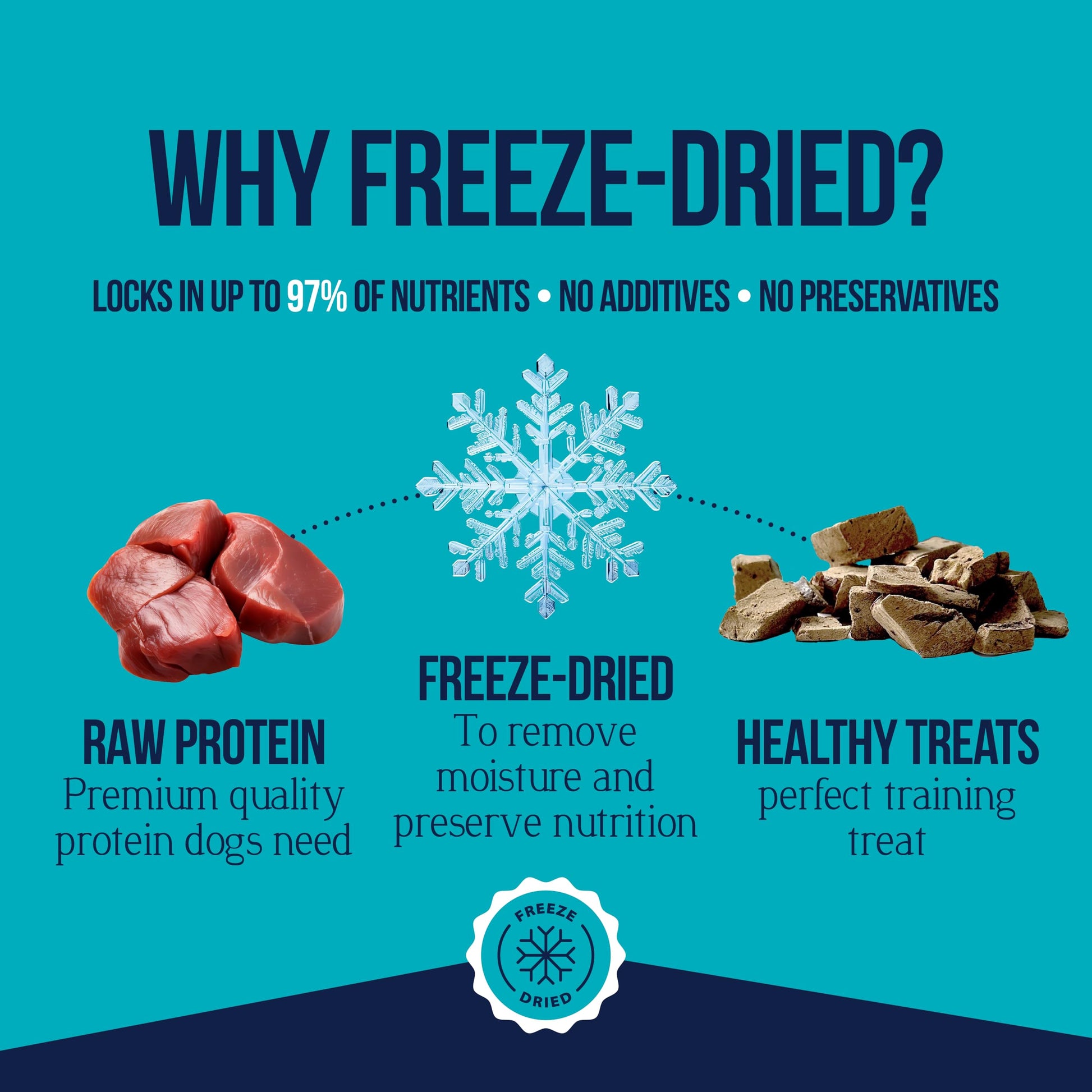 Stewart Single Ingredient Freeze Dried Raw Dog Treats The Dachshund Zone