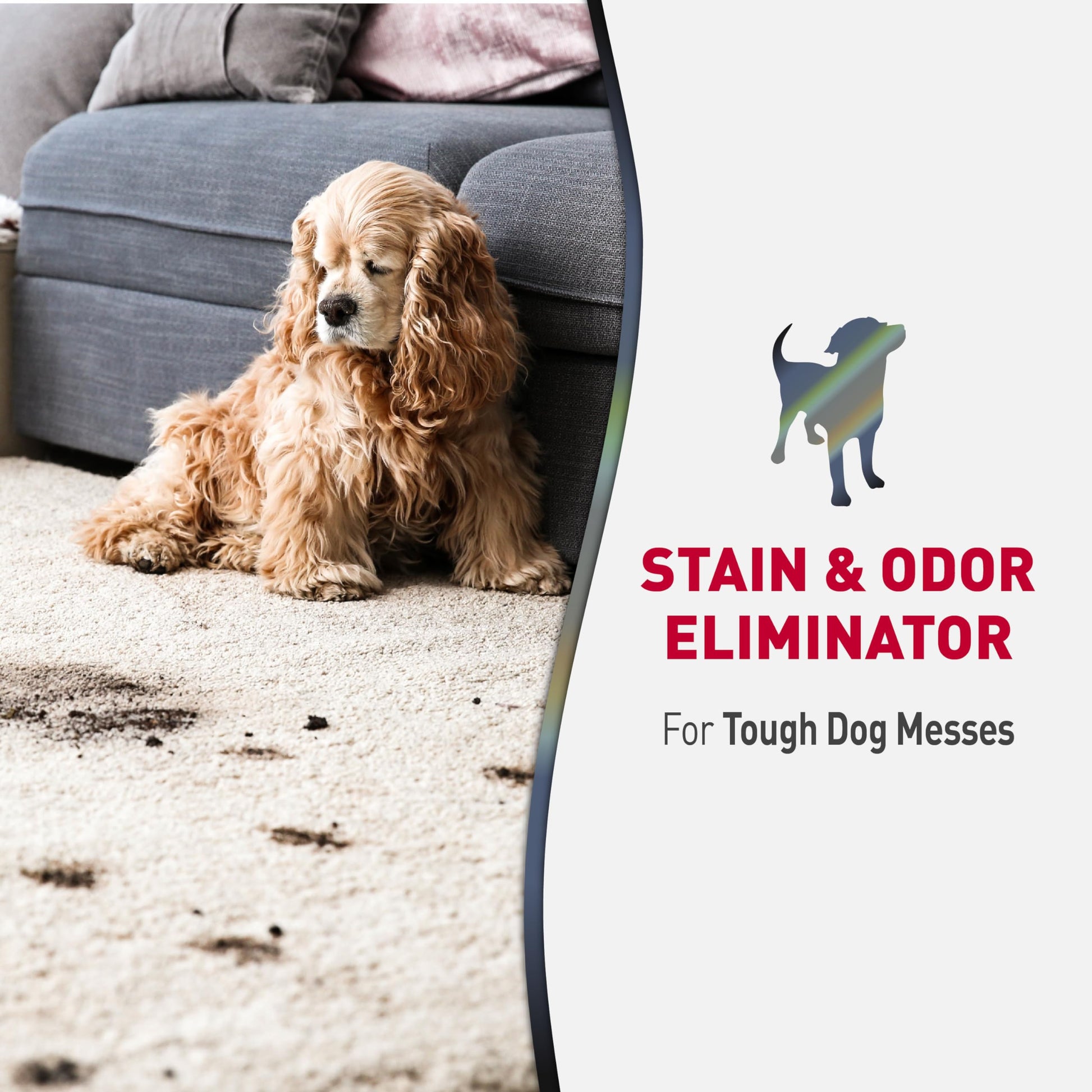 Nature’s Miracle Advanced Stain And Odor Eliminator for Dogs The Dachshund Zone