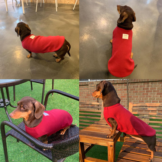 D Doggy Star Dachshund Clothes for Dogs Mini and Adults T Shirts (XS,Solid Wine) The Dachshund Zone