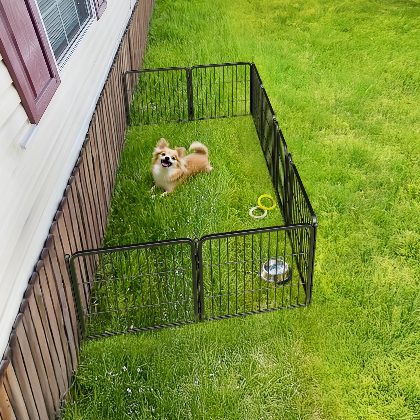 Rollick Unleashed Dog Playpen The Dachshund Zone