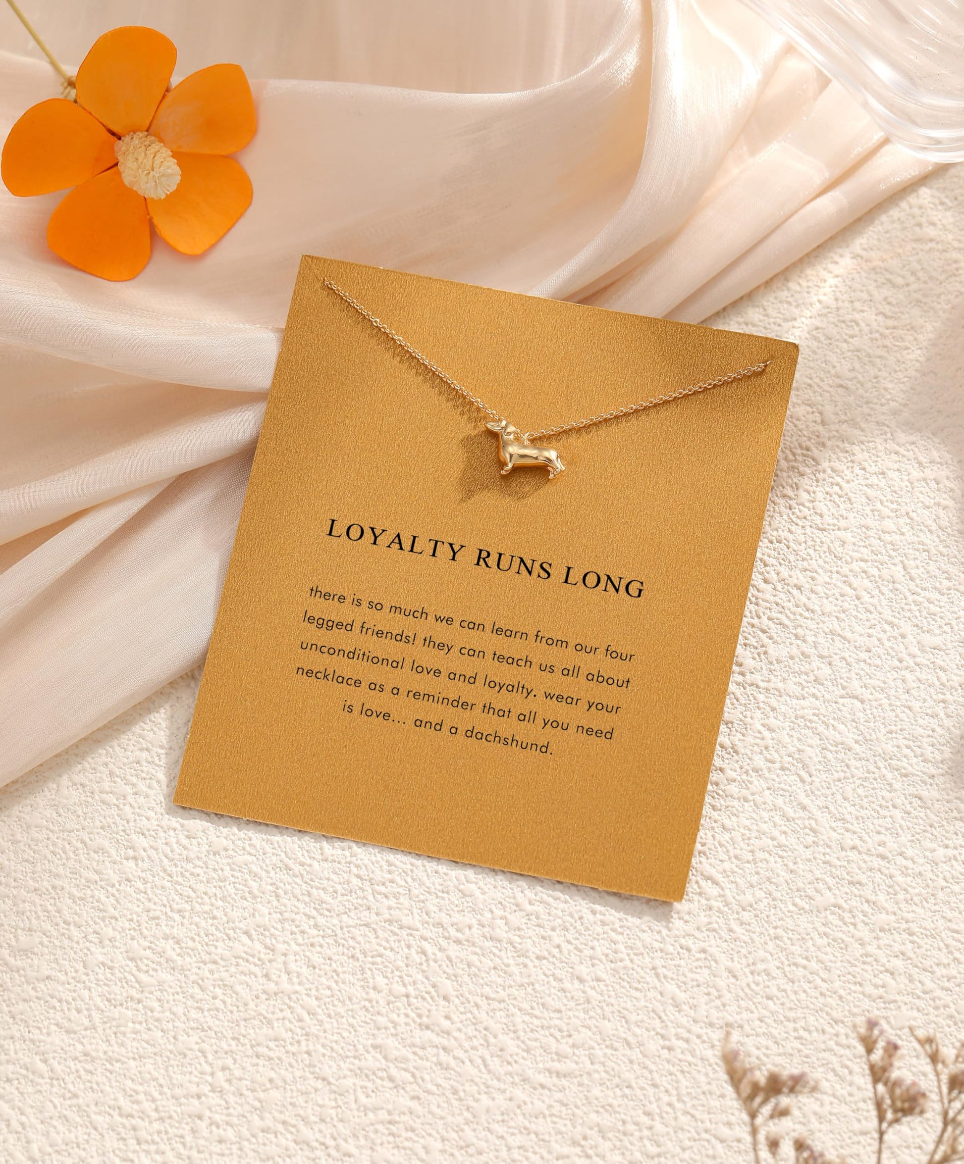 Dachshund Gifts for Women Wiener Dog The Dachshund Zone