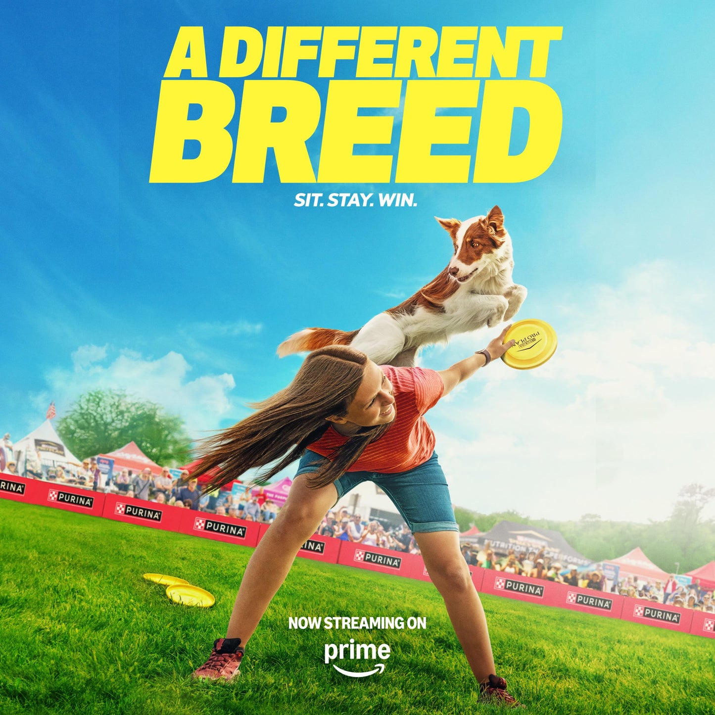 Purina Pro Plan High Protein Puppy Food DHA Lamb & Rice Formula - 34 lb. Bag The Dachshund Zone