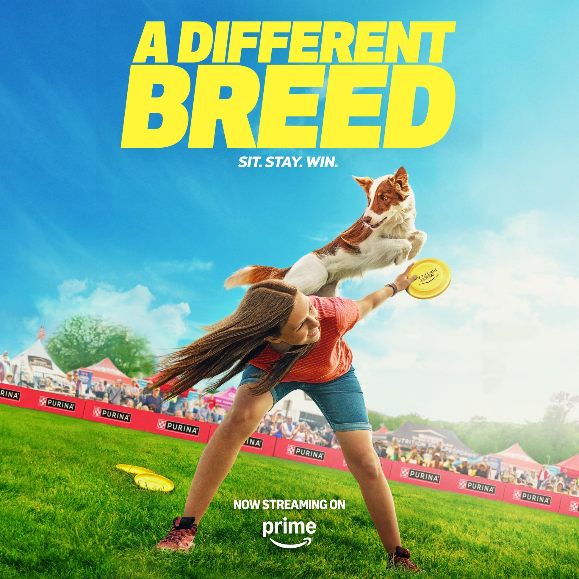 Purina Pro Plan High Protein Puppy Food DHA Lamb & Rice Formula - 34 lb. Bag The Dachshund Zone