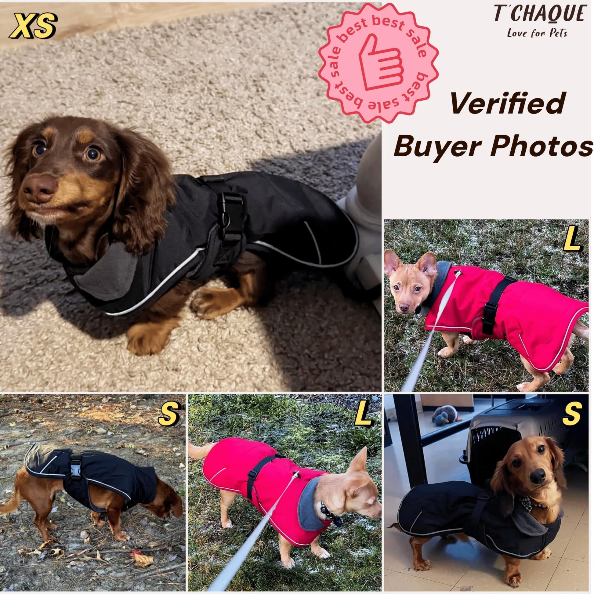 Dachshund Jackets with Adjustable Bands The Dachshund Zone