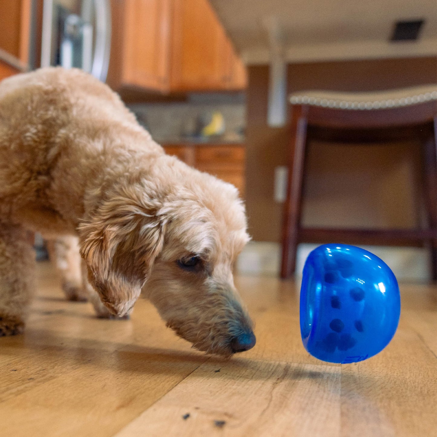 Outward Hound Lil' Snoop Interactive Treat Dispensing Toy The Dachshund Zone