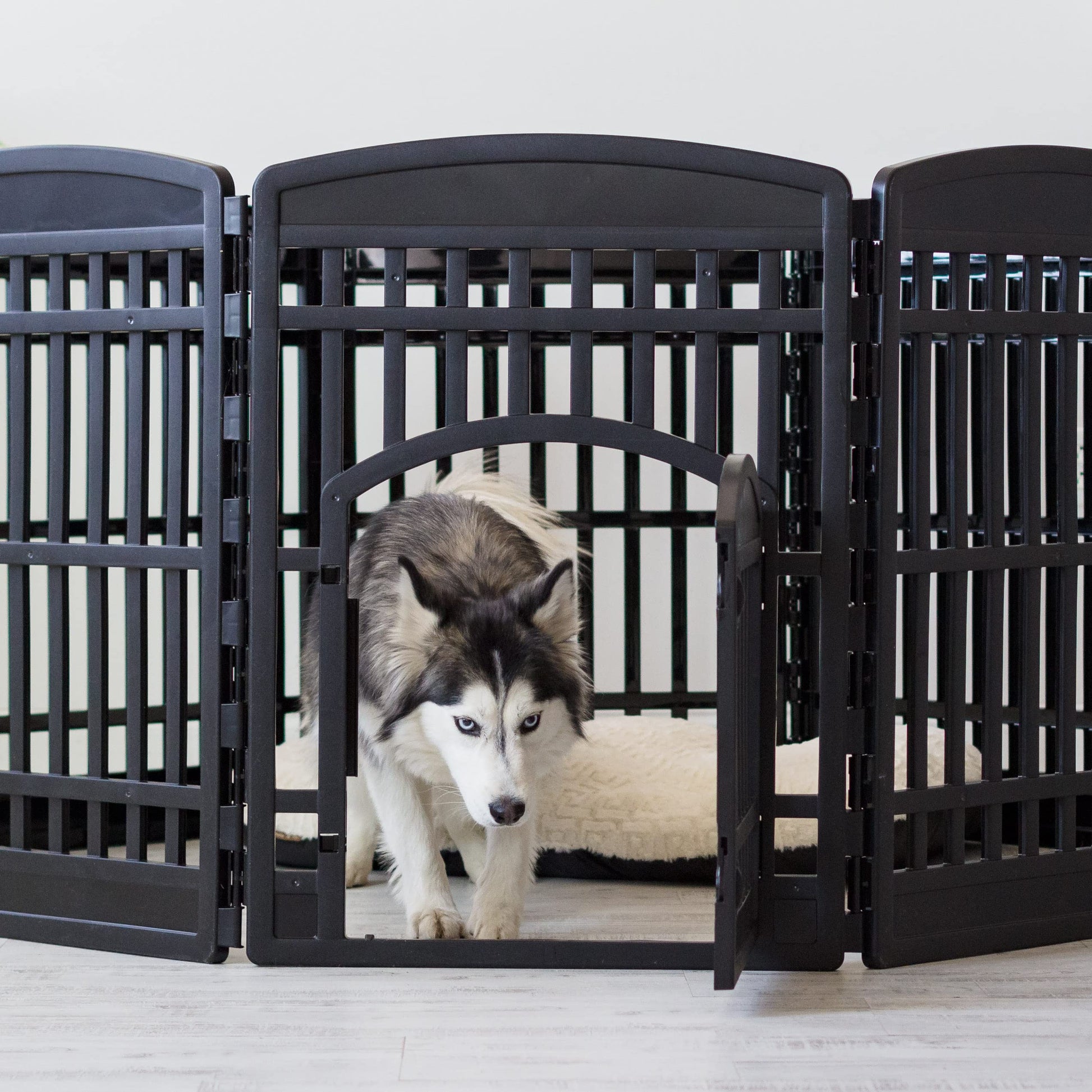 IRIS USA 34" 8-Panel Dog Playpen with Door, 63 x 63 x 35 The Dachshund Zone