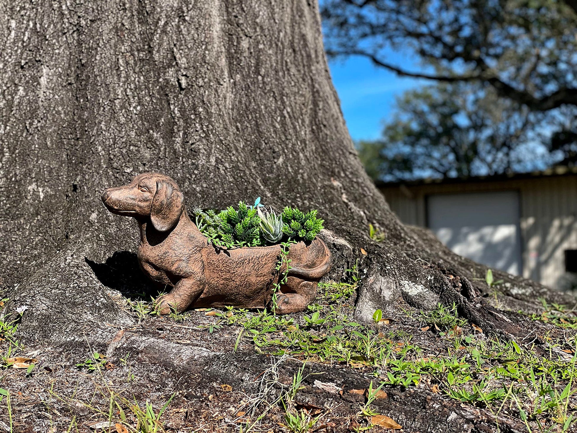 Whimsical Dachshund Dog Resin Planter The Dachshund Zone